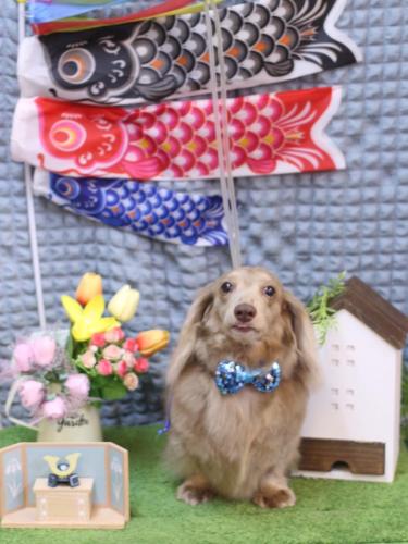 20230519ぺこちゃん